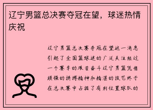 辽宁男篮总决赛夺冠在望，球迷热情庆祝